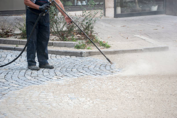 Animal Enclosure Cleaning in Coleman, TX